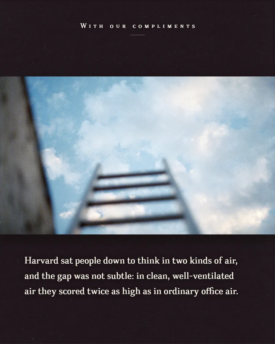 A ladder leaning against a wall, rising into a bright cloudy sky