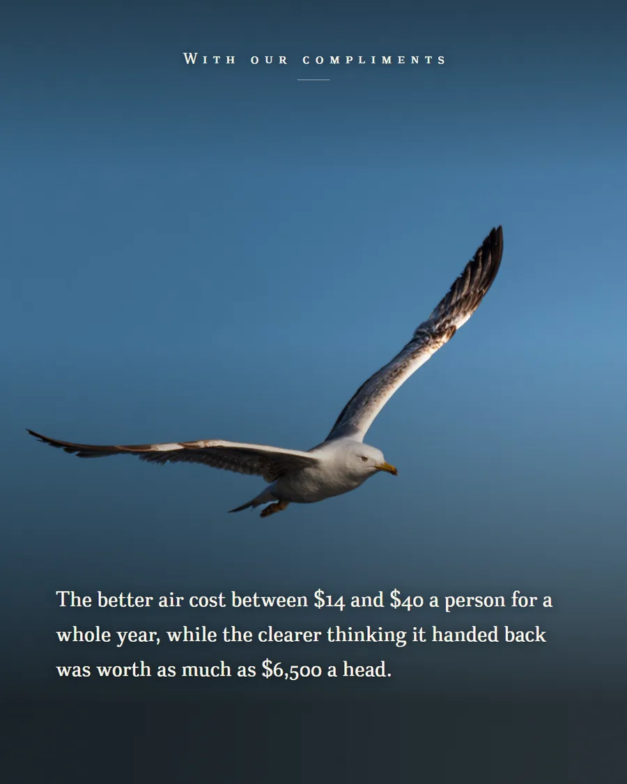 A gull gliding with wings outstretched against a deep blue evening sky