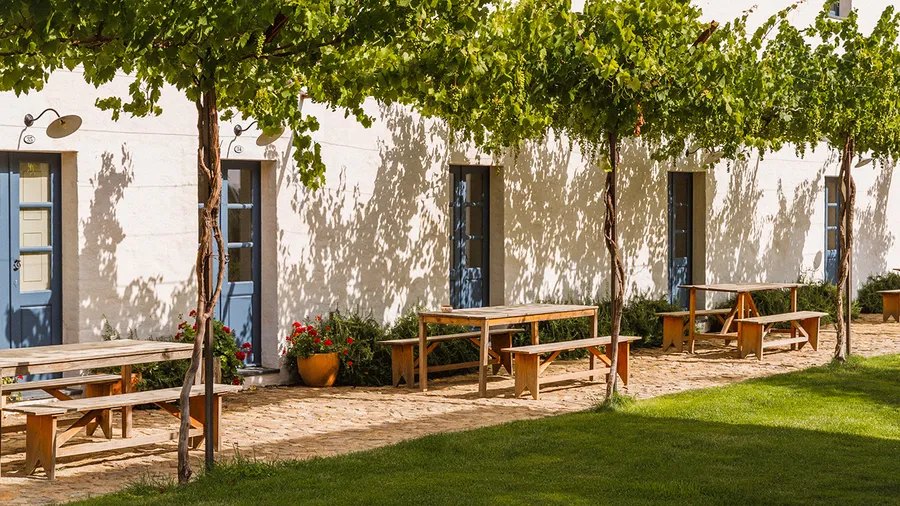 Whitewashed former farm buildings at São Lourenço do Barrocal beneath grapevines