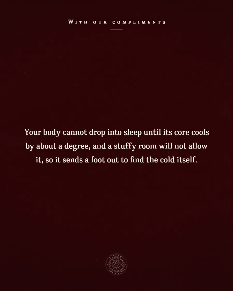 Oxblood plate reading: Your body cannot drop into sleep until its core cools by about a degree, and a stuffy room will not allow it, so it sends a foot out to find the cold itself.