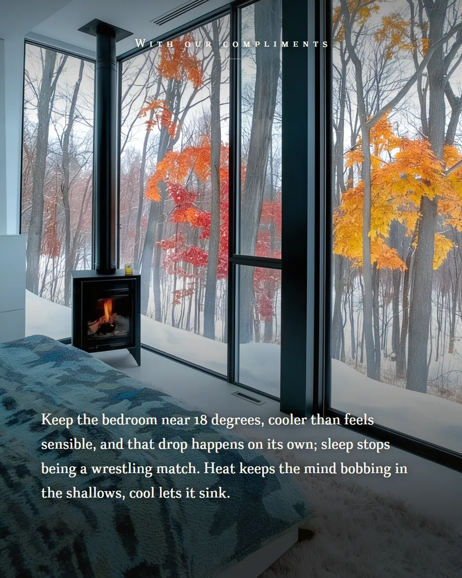 A dark bedroom with floor-to-ceiling windows onto snow and autumn trees, a small wood stove lit beside the bed