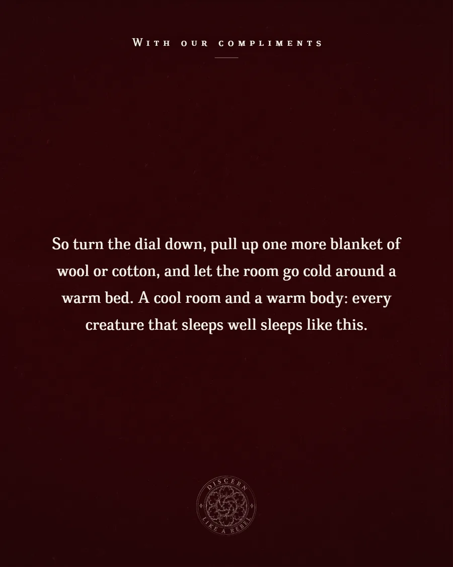 Oxblood plate reading: A cool room and a warm body, every creature that sleeps well sleeps like this.