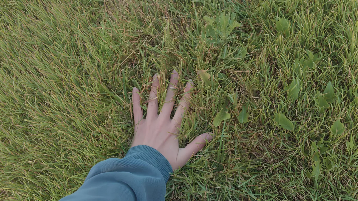 A hand resting directly on grass
