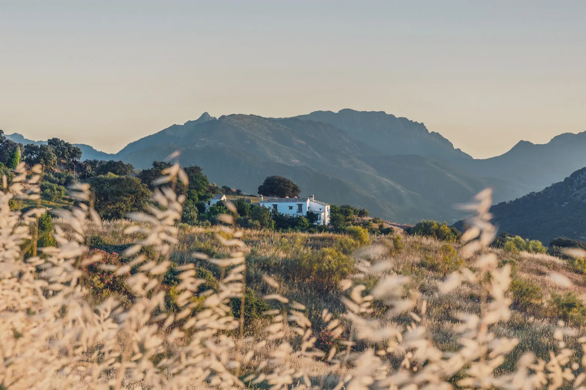 La Donaira’s white cortijo beneath the Serranía de Ronda mountains