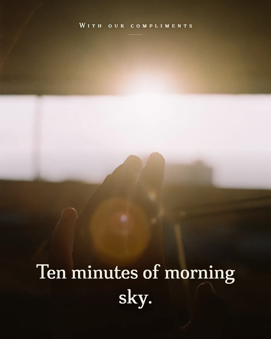 A hand held up against a low sun at dawn, the light flaring through the fingers