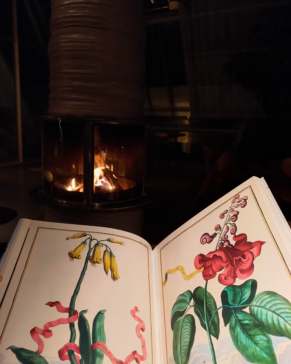 An open botanical book beside the fire in the shared Glasshaus lounge